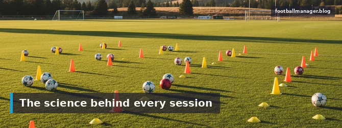Training System: Complete Guide